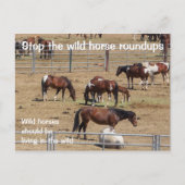 Red onze campagne voor wilde paarden briefkaart (Voorkant)