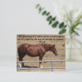 Red onze campagne voor wilde paarden briefkaart (Staand voorkant)