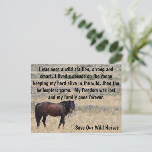Red onze campagne voor wilde paarden briefkaart (Staand voorkant)