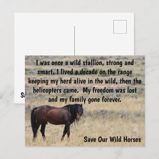 Red onze campagne voor wilde paarden briefkaart (Voorkant / Achterkant)