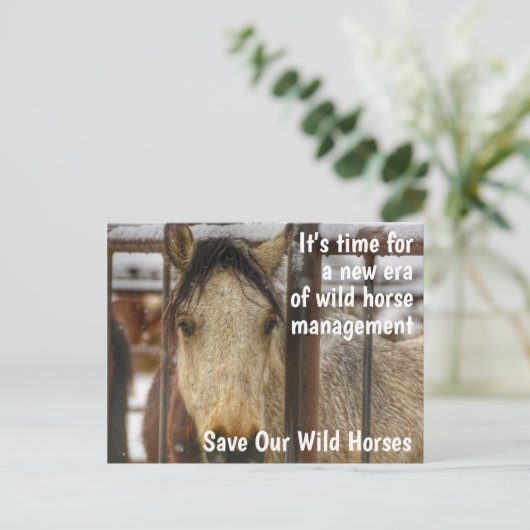 Red onze campagne voor wilde paarden briefkaart (Staand voorkant)