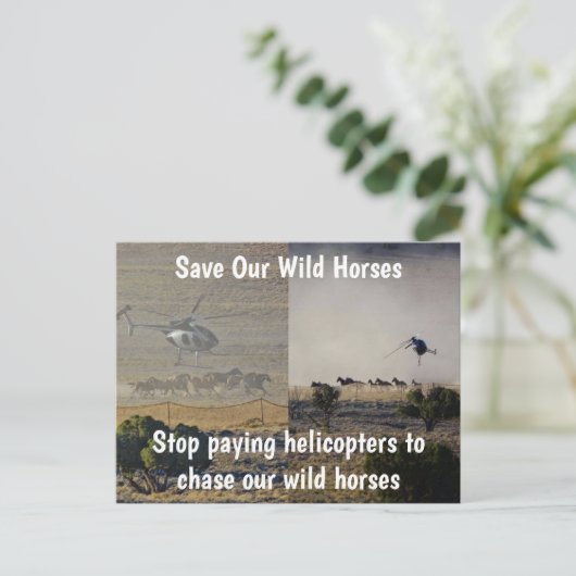 Red onze campagne voor wilde paarden briefkaart (Staand voorkant)