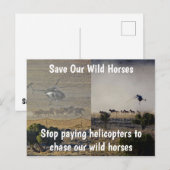 Red onze campagne voor wilde paarden briefkaart (Voorkant / Achterkant)