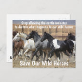 Red onze campagne voor wilde paarden briefkaart (Voorkant / Achterkant)