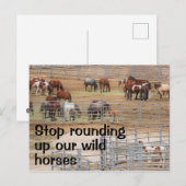 Red onze campagne voor wilde paarden briefkaart (Voorkant / Achterkant)