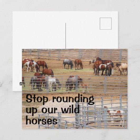 Red onze campagne voor wilde paarden briefkaart (Voorkant / Achterkant)