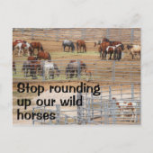 Red onze campagne voor wilde paarden briefkaart (Voorkant)