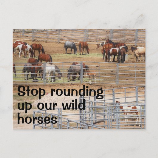 Red onze campagne voor wilde paarden briefkaart (Voorkant)