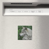 RED ONZE GRIJZE WOLVEN Wildlife Photo Magnet (Insitu (Vaatwasser))