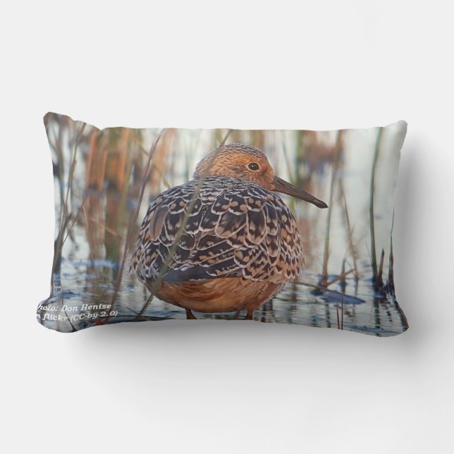 Red onze kustvogels Kussen van RoseWrites (Voorkant)