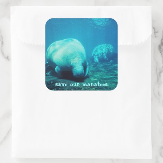 Red onze Manatees Stickers (Tas)