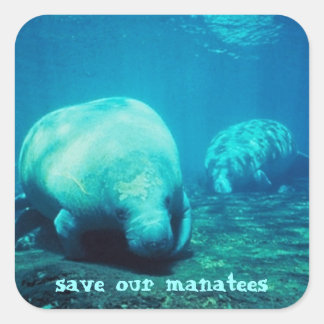 Red onze Manatees Stickers