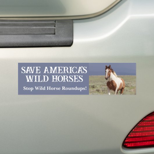 Red onze Wild Horses Sand Wash Basin Bumpersticker (Op auto)