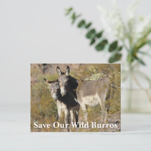 Red onze wilde burros briefkaart (Staand voorkant)