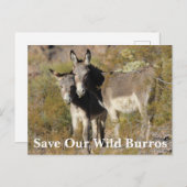 Red onze wilde burros briefkaart (Voorkant / Achterkant)