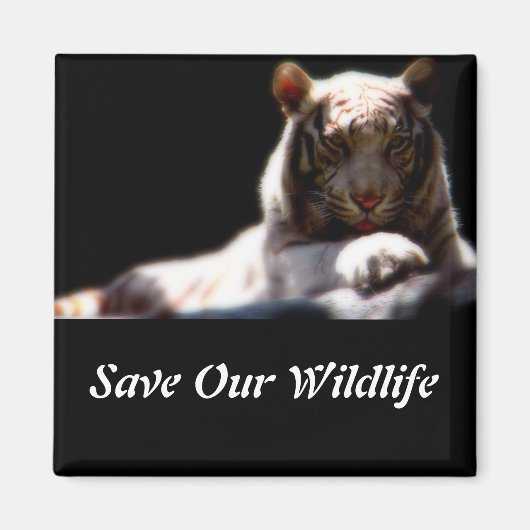 Red onze wilde dieren Tijger vierkante magneet (Voorkant)