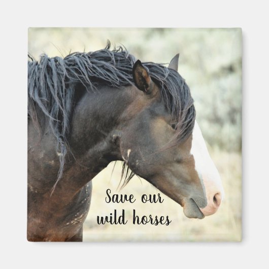 Red onze wilde mosterdmijnen van het Westen Magneet (Voorkant)