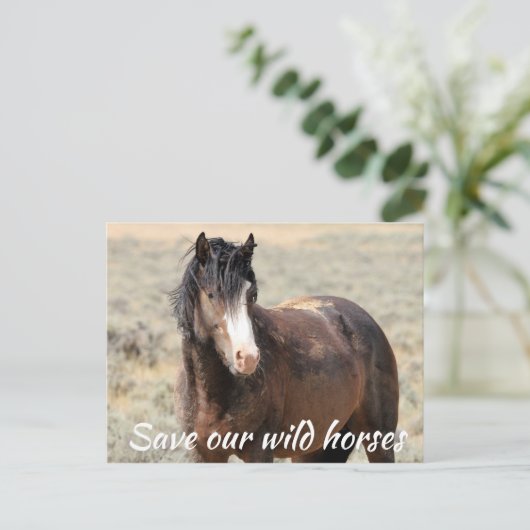 Red onze wilde paarden briefkaart (Staand voorkant)