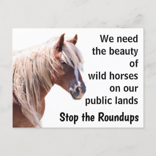 Red onze wilde paarden briefkaart