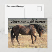 Red onze wilde paarden briefkaart (Voorkant / Achterkant)