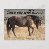 Red onze wilde paarden briefkaart (Voorkant)