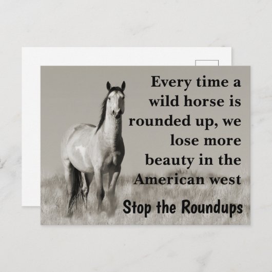 Red onze wilde paarden briefkaart (Voorkant / Achterkant)