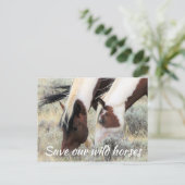 Red onze wilde paarden briefkaart (Staand voorkant)