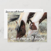 Red onze wilde paarden briefkaart (Voorkant / Achterkant)