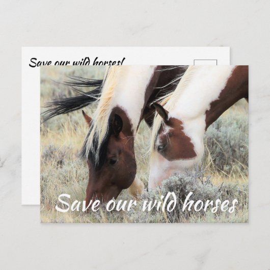 Red onze wilde paarden briefkaart (Voorkant / Achterkant)