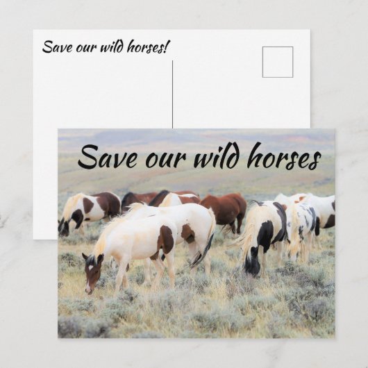 Red onze wilde paarden briefkaart (Voorkant / Achterkant)