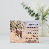 Red onze wilde paarden briefkaart (Staand voorkant)