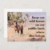 Red onze wilde paarden briefkaart (Voorkant / Achterkant)