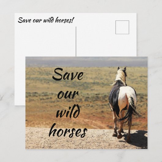 Red onze wilde paarden briefkaart (Voorkant / Achterkant)