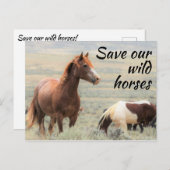 Red onze wilde paarden briefkaart (Voorkant / Achterkant)