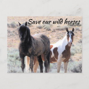 Red onze wilde paarden briefkaart