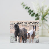 Red onze wilde paarden briefkaart (Staand voorkant)