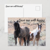 Red onze wilde paarden briefkaart (Voorkant / Achterkant)