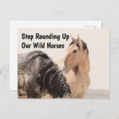 Red onze wilde paarden briefkaart (Voorkant / Achterkant)