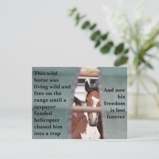 Red onze wilde paarden briefkaart (Staand voorkant)