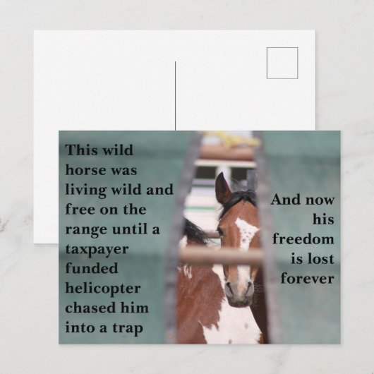 Red onze wilde paarden briefkaart (Voorkant / Achterkant)