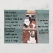 Red onze wilde paarden briefkaart (Voorkant)