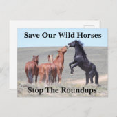 Red onze wilde paarden briefkaart (Voorkant / Achterkant)