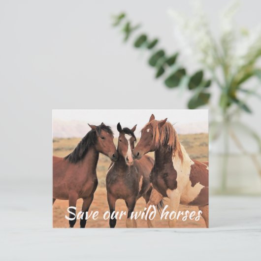 Red onze wilde paarden briefkaart (Staand voorkant)