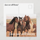 Red onze wilde paarden briefkaart (Voorkant / Achterkant)