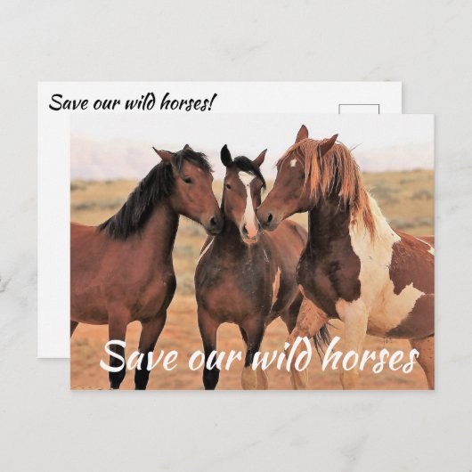 Red onze wilde paarden briefkaart (Voorkant / Achterkant)