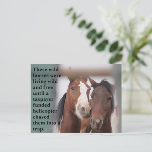 Red onze wilde paarden briefkaart (Staand voorkant)