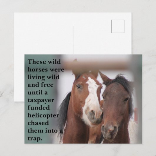 Red onze wilde paarden briefkaart (Voorkant / Achterkant)