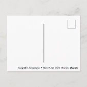 Red onze wilde paarden briefkaart (Achterkant)