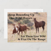 Red onze wilde paarden briefkaart (Voorkant / Achterkant)