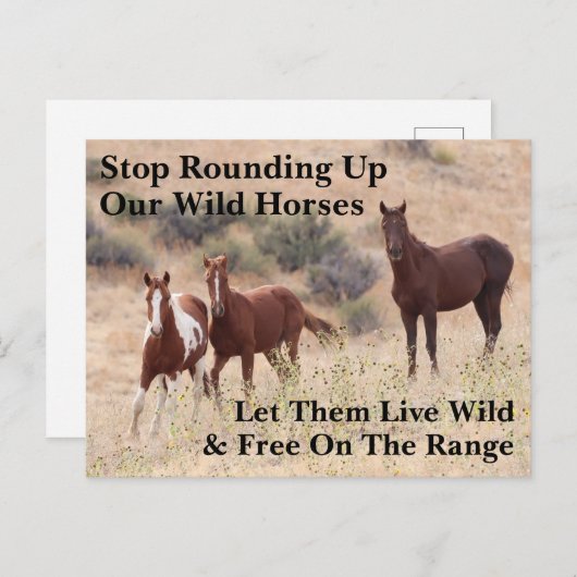 Red onze wilde paarden briefkaart (Voorkant / Achterkant)